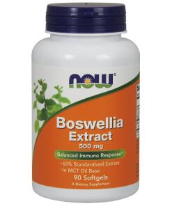 NOW Foods - Boswellia Extract