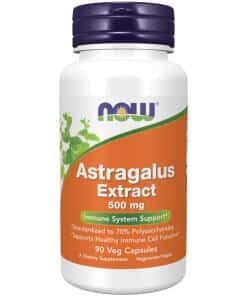 Astragalus Extract 500 mg Veg Capsules