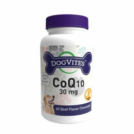 CoQ10 til hunde