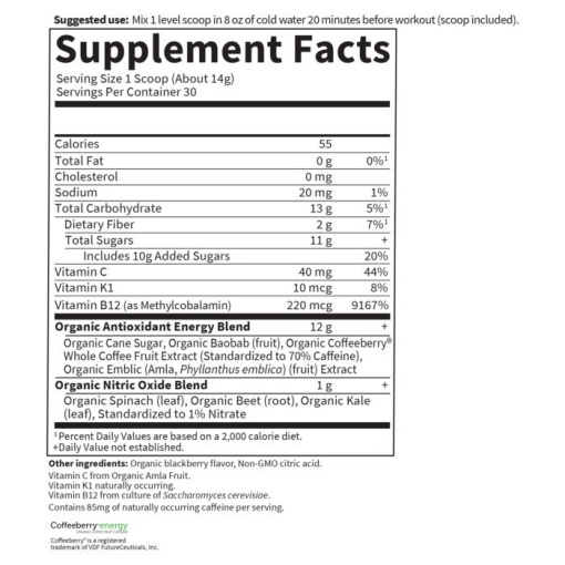 Garden of Life - SPORT Organic Plant-Based Energy + Focus Blackberry 432 g Powder - Image 2