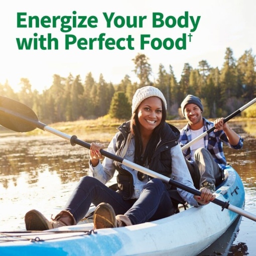 Garden of Life - Raw Organic Perfect Food 100% Organic USA Wheat Grass Juice - 240g - Image 5