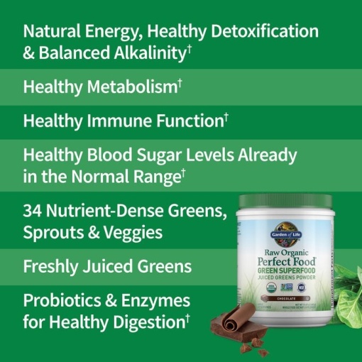 Garden of Life - Raw Organic Perfect Food Green Superfood, Chocolate - 570g - Image 4