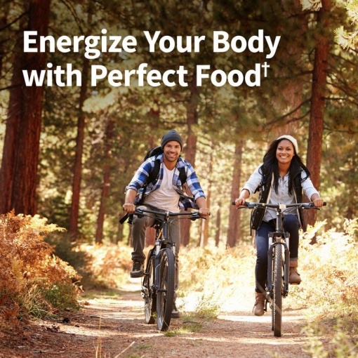 Garden of Life - Raw Organic Perfect Food Green Superfood, Chocolate - 570g - Image 5