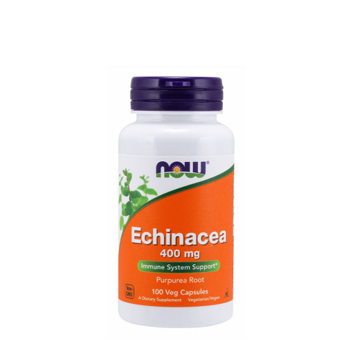 Echinacea