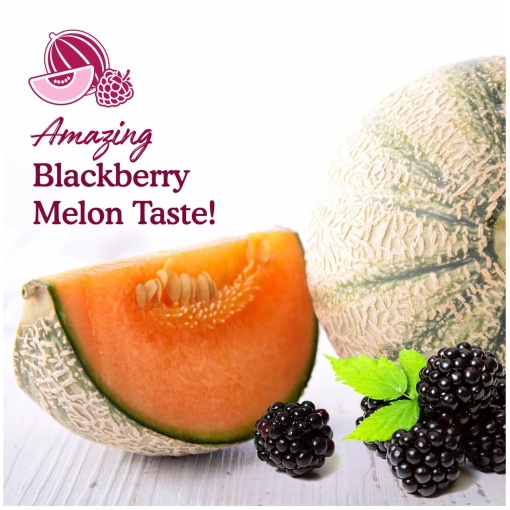 Garden of Life - Beetroot Beauty Blackcurrant Melon 105g Powder - Image 5