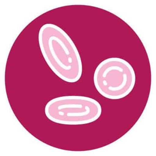 Garden of Life - Beet Detox with Cranberry and Pomegranate 105g Powder - Image 7
