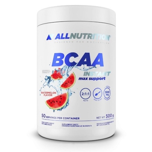 BCAA Max Support Instant - 500 gram