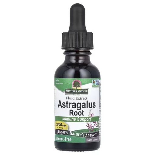 Astragalus Root