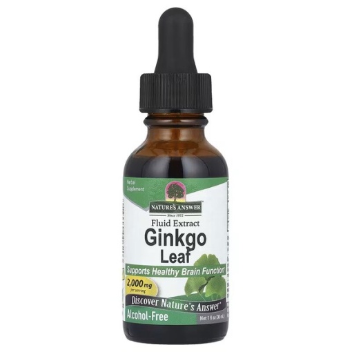 Ginkgo Leaf