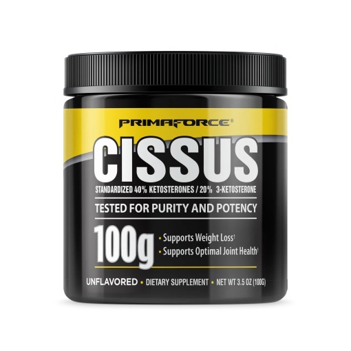 Cissus