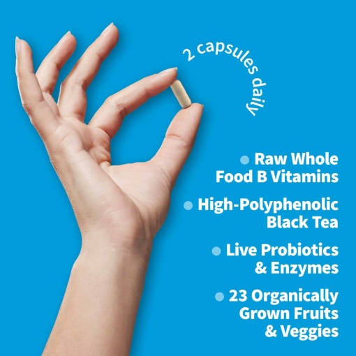 Garden of Life - Vitamin Code Raw Kombucha - 60 Vegan Capsules - Image 4