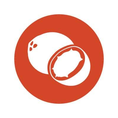 Garden of Life | Livets Have - Dr. Formulated MD Plant-Based Protein Powder with Sustainable Salmon, Rich in Chocolate - 686g - Image 7