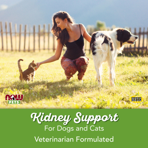 NOW Pets - Kidney Support for Dogs & Cats - Image 6