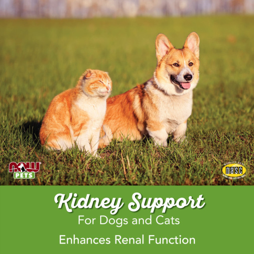 NOW Pets - Kidney Support for Dogs & Cats - Image 7