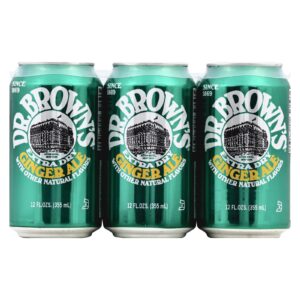 Dr. Brown - Soda Ginger Ale - Case Of 4 - 6-12 Fz