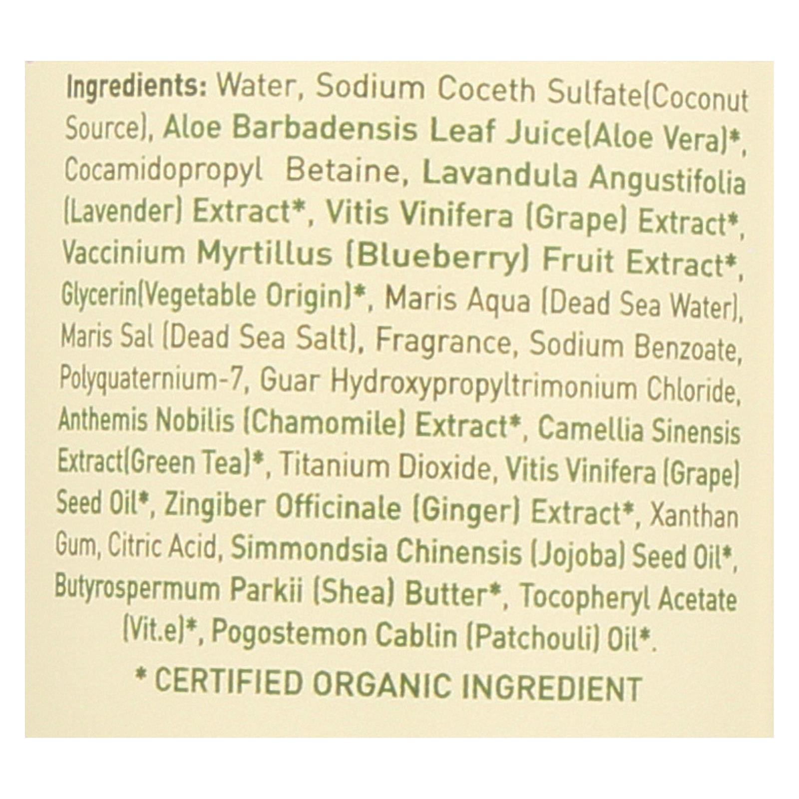 Ecolove Shampoo - Purple Fruit Shampoo For Colored And Very Dry Hair - Case Of 1 - 17.6 Fl Oz. - Image 2